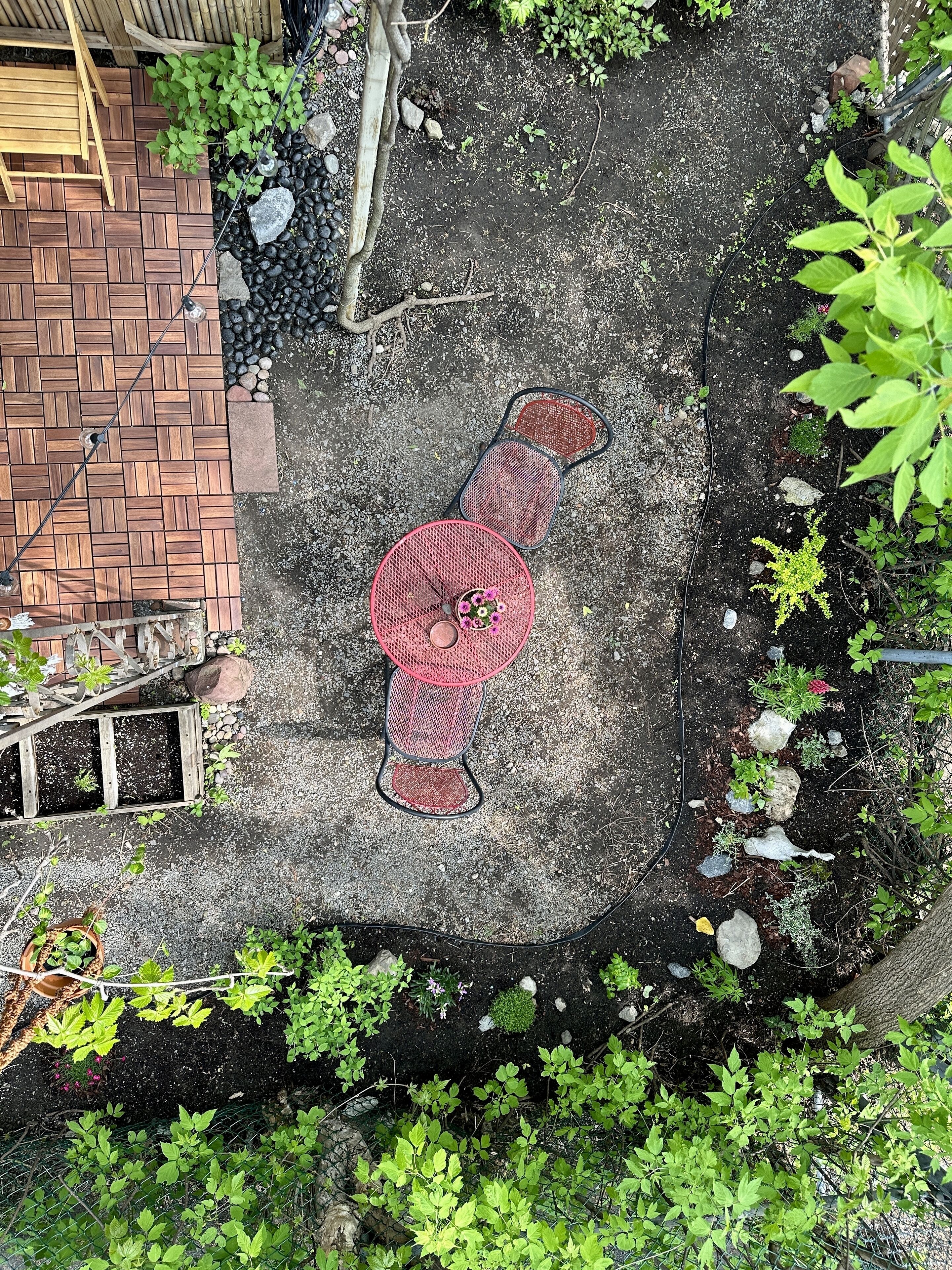 A garden area with a wooden bench, a red chair, and various plants.