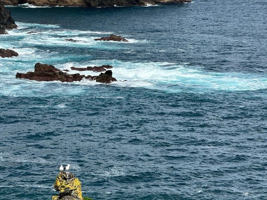 A coastal scene with waves crashing against rocks and seagulls perched on a rock formation.