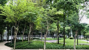 Un parque tranquilo con un estanque rectangular y arbustos bien cuidados.