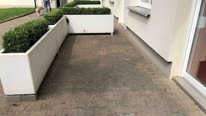 En asfalterad gångväg med vita blomlådor och en hund som promenerar.