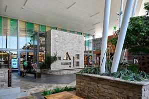 Exterior - Lovely Beach House -Amazing Location, Pets - ZB9 (Sunshine Coast)