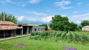 A vineyard with rows of grapevines, a stone building, and a tiled-roof structure.