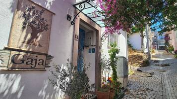 A building with a sign reading "Gaja" and a number "5" indicating a room. There is a bench with a cat, potted plants, and a cobblestone street.
