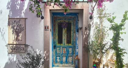 Gaja Ayvalik