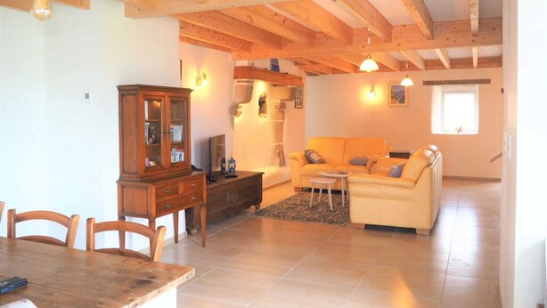 Un'ampia zona giorno con soffitto in legno, un divano, un tavolo da pranzo con sedie e un armadio.