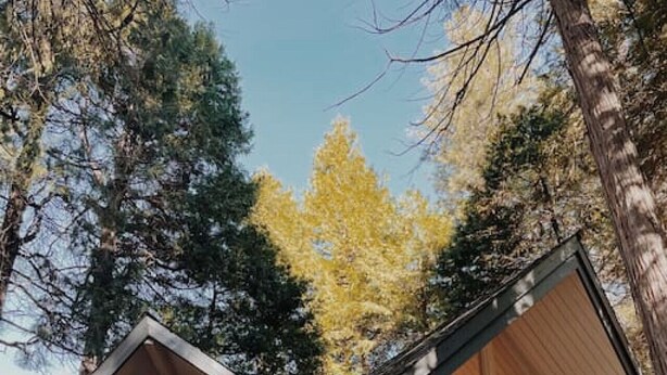 A modern cabin with a steeply pitched roof, large windows, and a wooden staircase leading to the entrance. - Nevada City Cabin Pups and Long Stays Welcome (Nevada City)