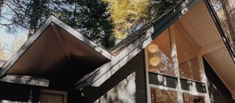 Nevada City Cabin Pups and Long Stays Welcome