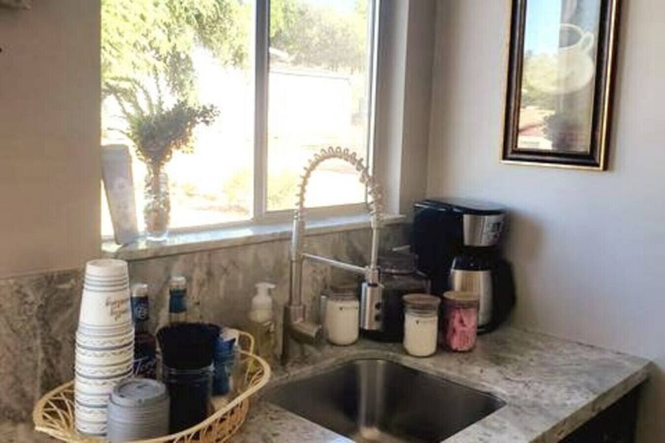 Coffee Bar Pet Friendly Sanctuary