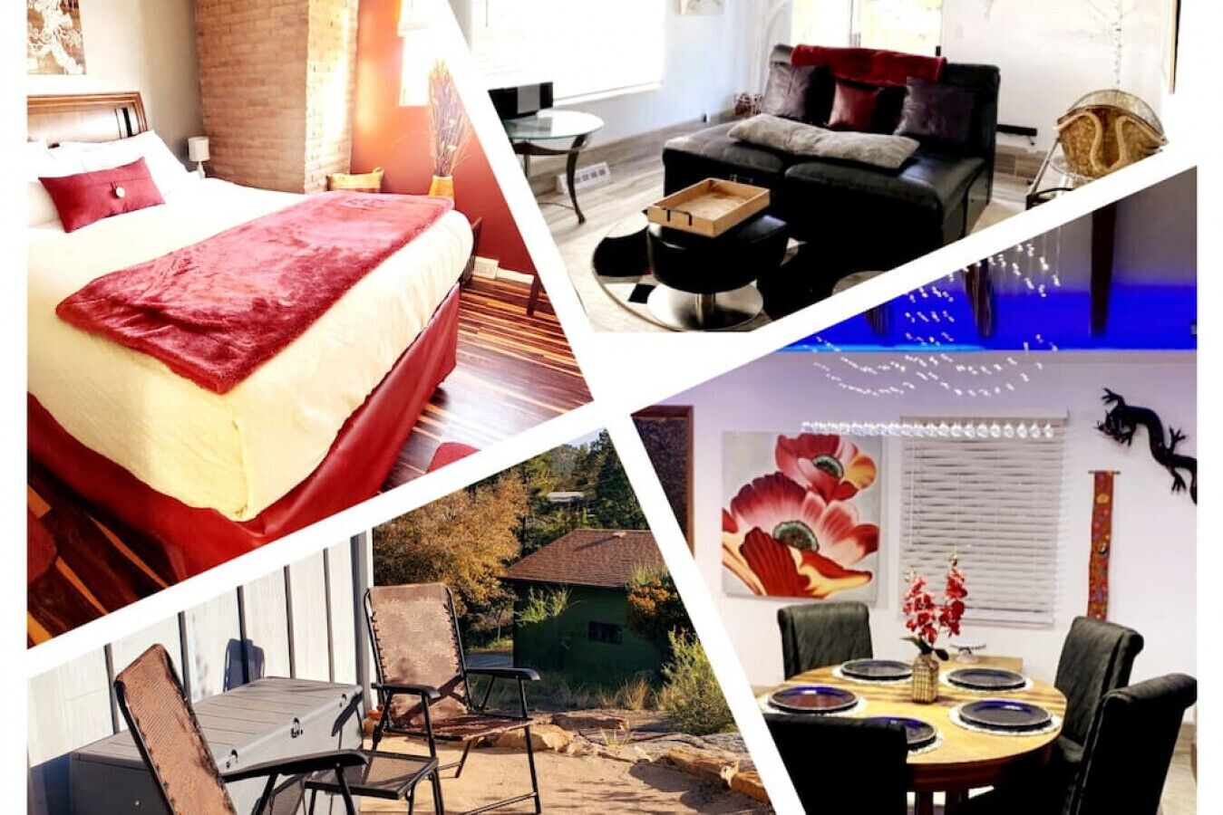 Coffee Bar Pet Friendly Sanctuary