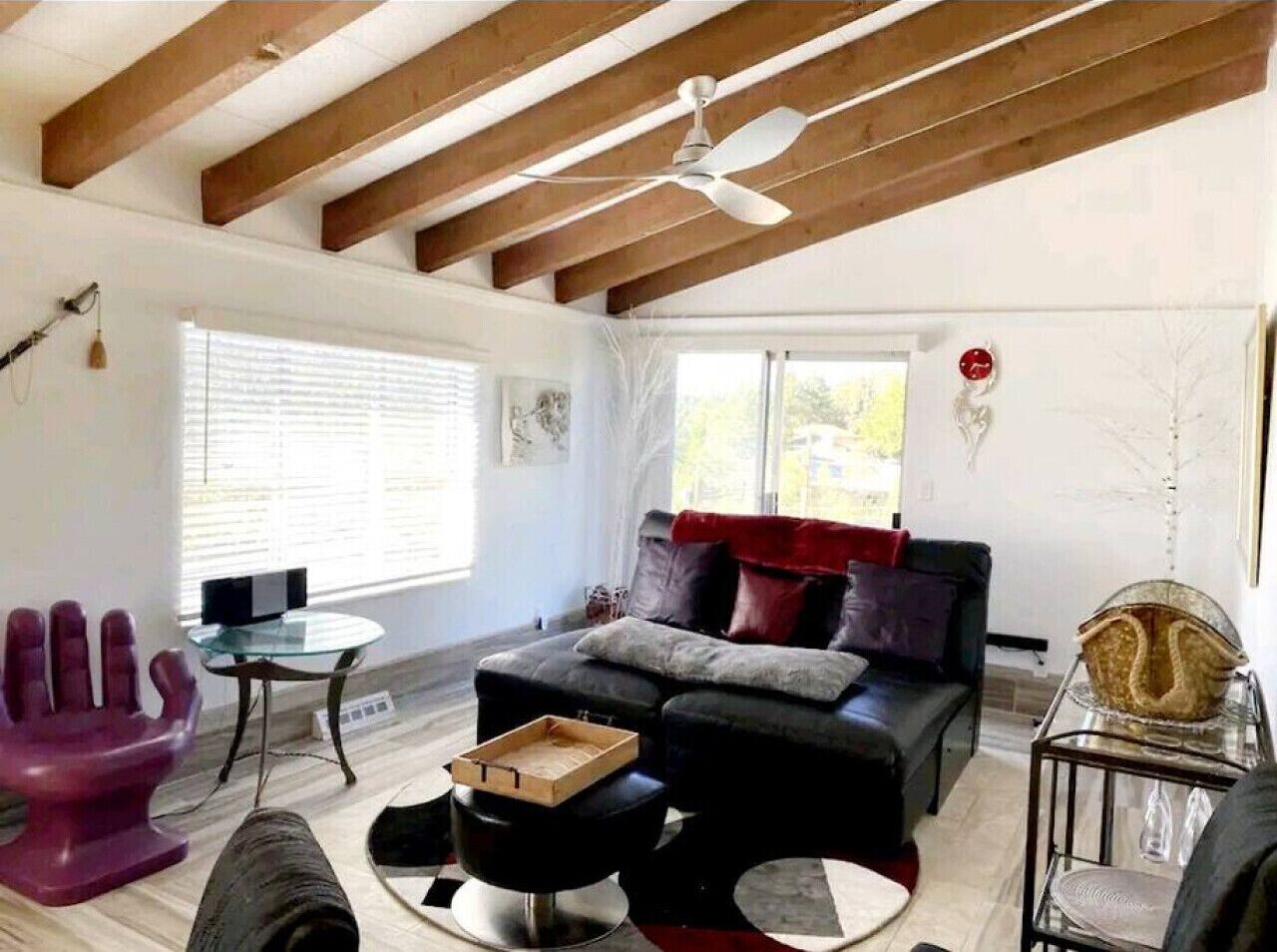 Coffee Bar Pet Friendly Sanctuary