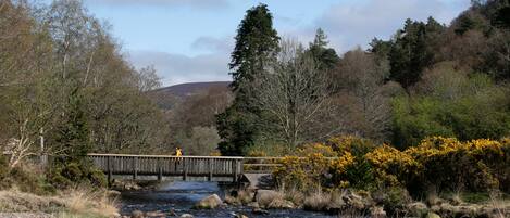 A wooden bridge over a river with a forested hillside in the background.