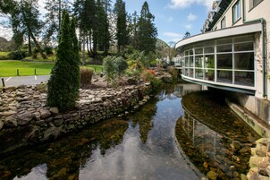 Un jardín tranquilo a orillas del río, con un muro de piedra, diversas plantas y un edificio de cristal con techo curvo.