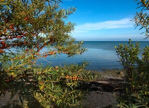 Una playa cerca
