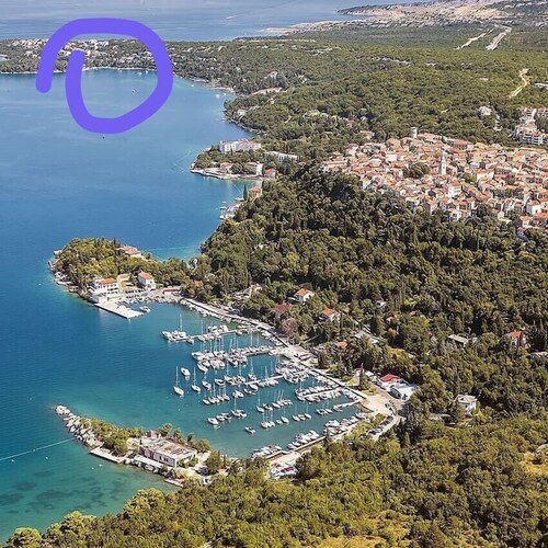 Fantastic Sea View Apartment in Villa Vuka in Omišalj