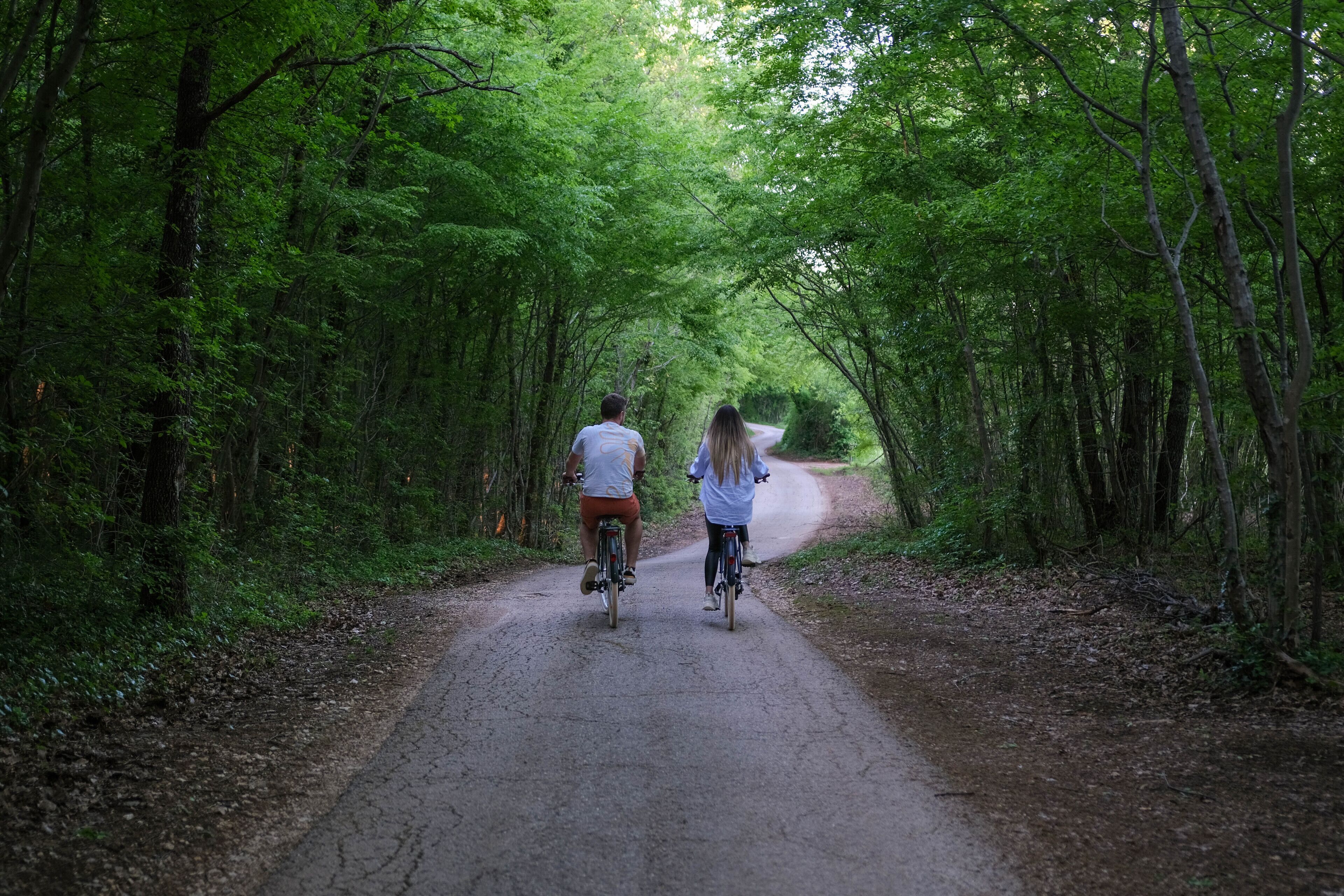 Two people riding bicycles on a forested path.