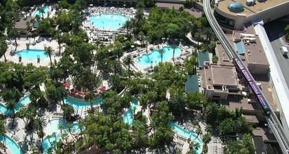 Signature Elite 1BR Balcony Suite Mtn View