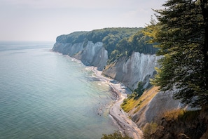 Eine Küstenklippe mit Strand und bewaldetem Gebiet.