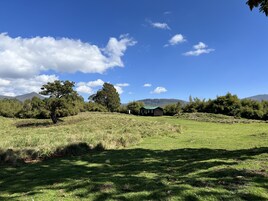 Un campo cubierto de hierba con una pequeña cabaña de madera y árboles, bajo un cielo azul despejado.