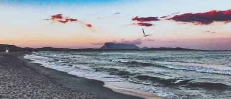 Praia