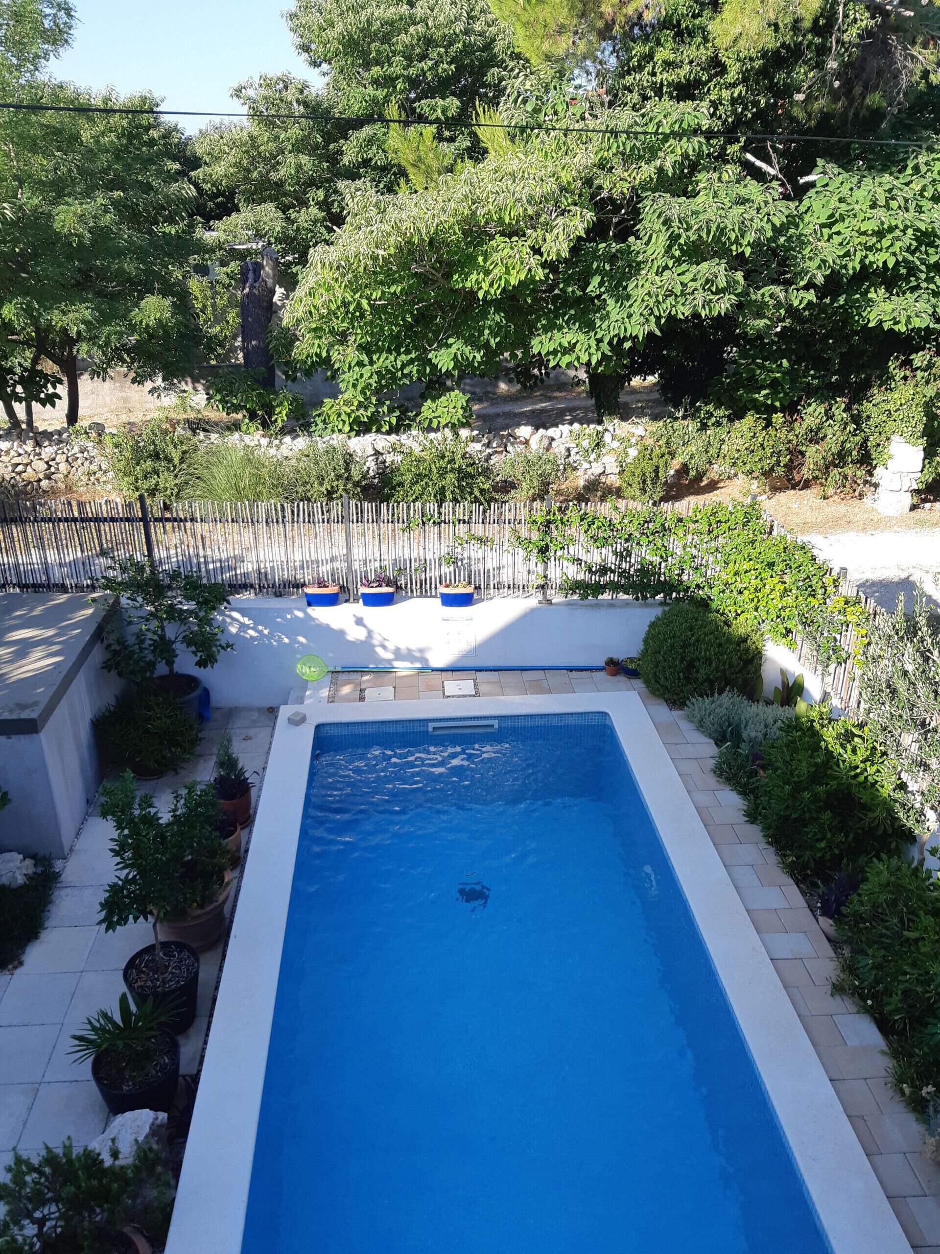 Ein rechteckiger Swimmingpool mit einer gefliesten Kante, umgeben von Kübelpflanzen und einem Holenzaun.