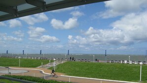 Un paseo marítimo con zona verde, bancos y un camino que lleva al mar.