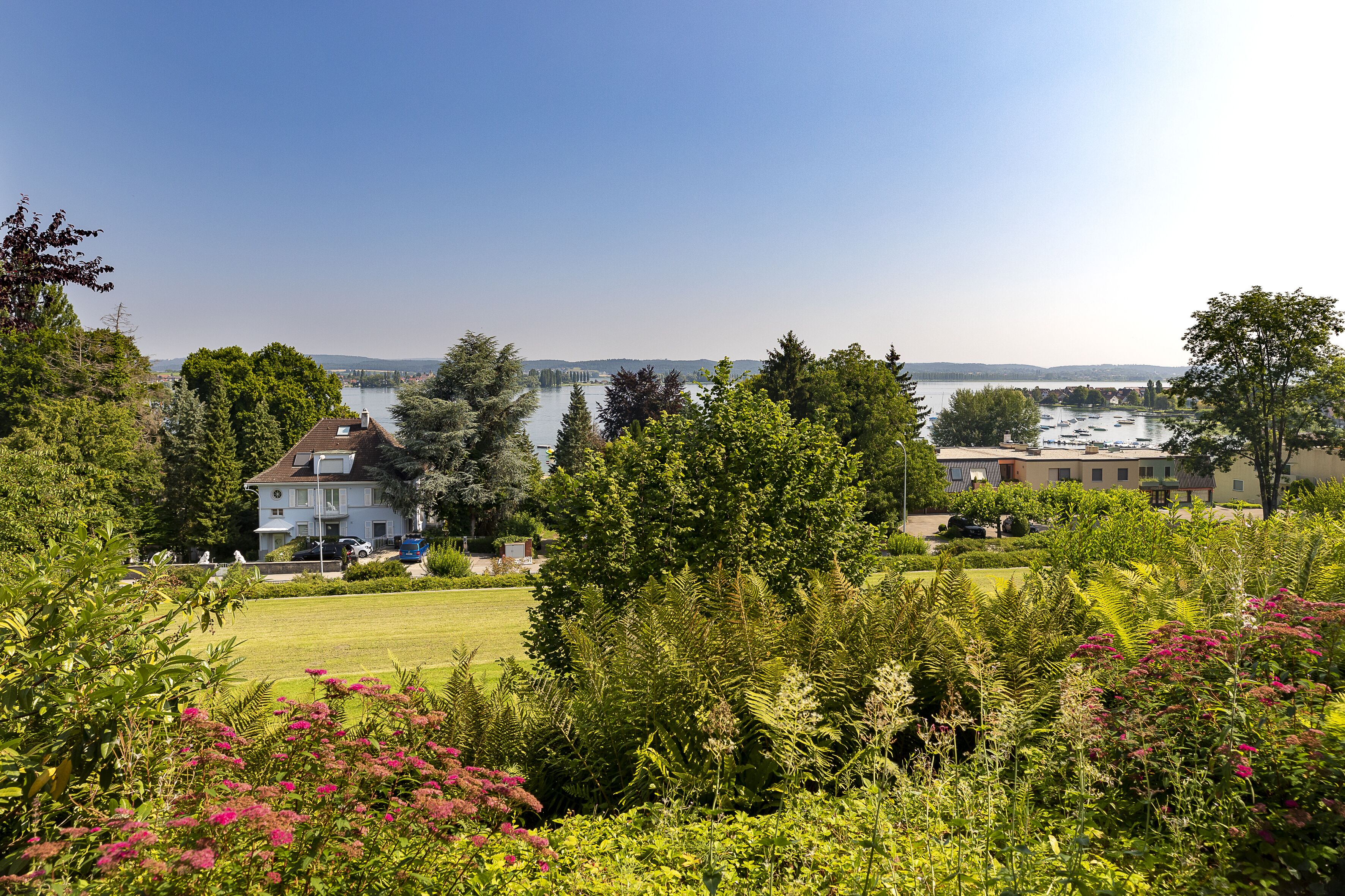 A residential area with houses, a lawn, and a lake in the background.