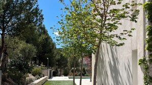 Une cour avec une piscine, entourée d’arbres et bordée d’un bâtiment à la façade blanche.