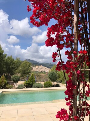 Vista de la piscina con cielo despejado, flores rojas y un pueblo lejano.