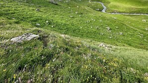 Paisaje montañoso con cielo despejado, un arroyo serpenteante y una cabaña a la distancia.