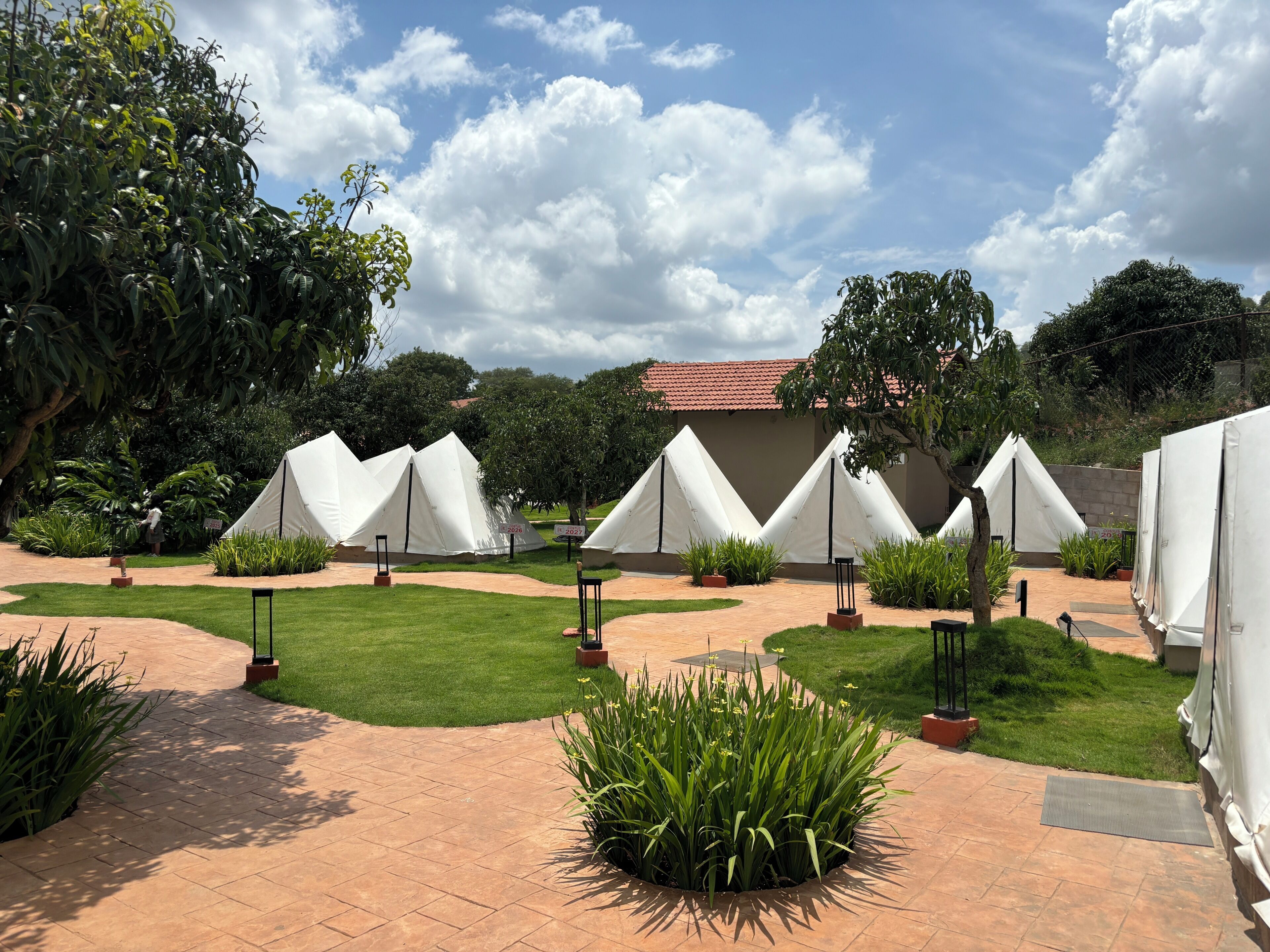 Un patio con carpas blancas, césped verde y plantas en macetas.