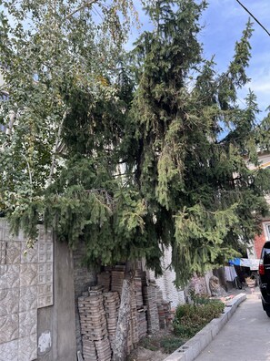 A residential area with a large evergreen tree, a brick wall, and a paved sidewalk. - Edem Bishkek  (Bishkek)
