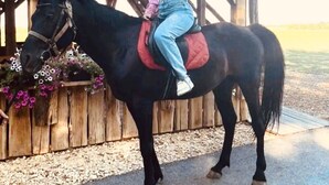 Nicht klassifiziertes Bild, 4 von 20, Schaltfläche