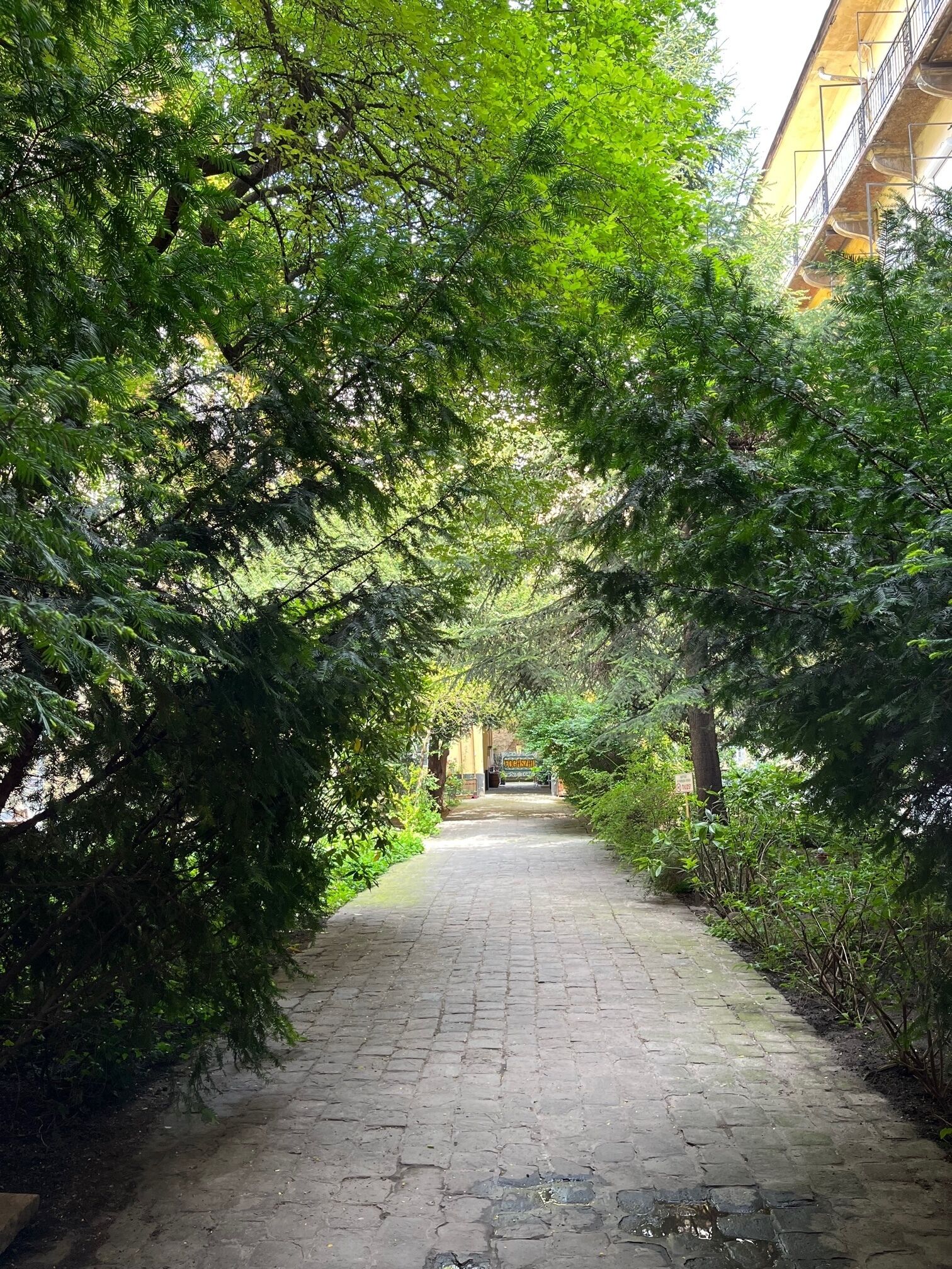 Un chemin pavé bordé d’une végétation luxuriante et verdoyante, qui mène à un bâtiment à la façade jaune et à l’entrée bien visible.