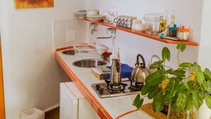 Une cuisine compacte équipée d’un évier, d’une cuisinière et d’un petit réfrigérateur. On trouve des étagères en bois au-dessus de l’évier et une plante en pot sur le plan de travail.