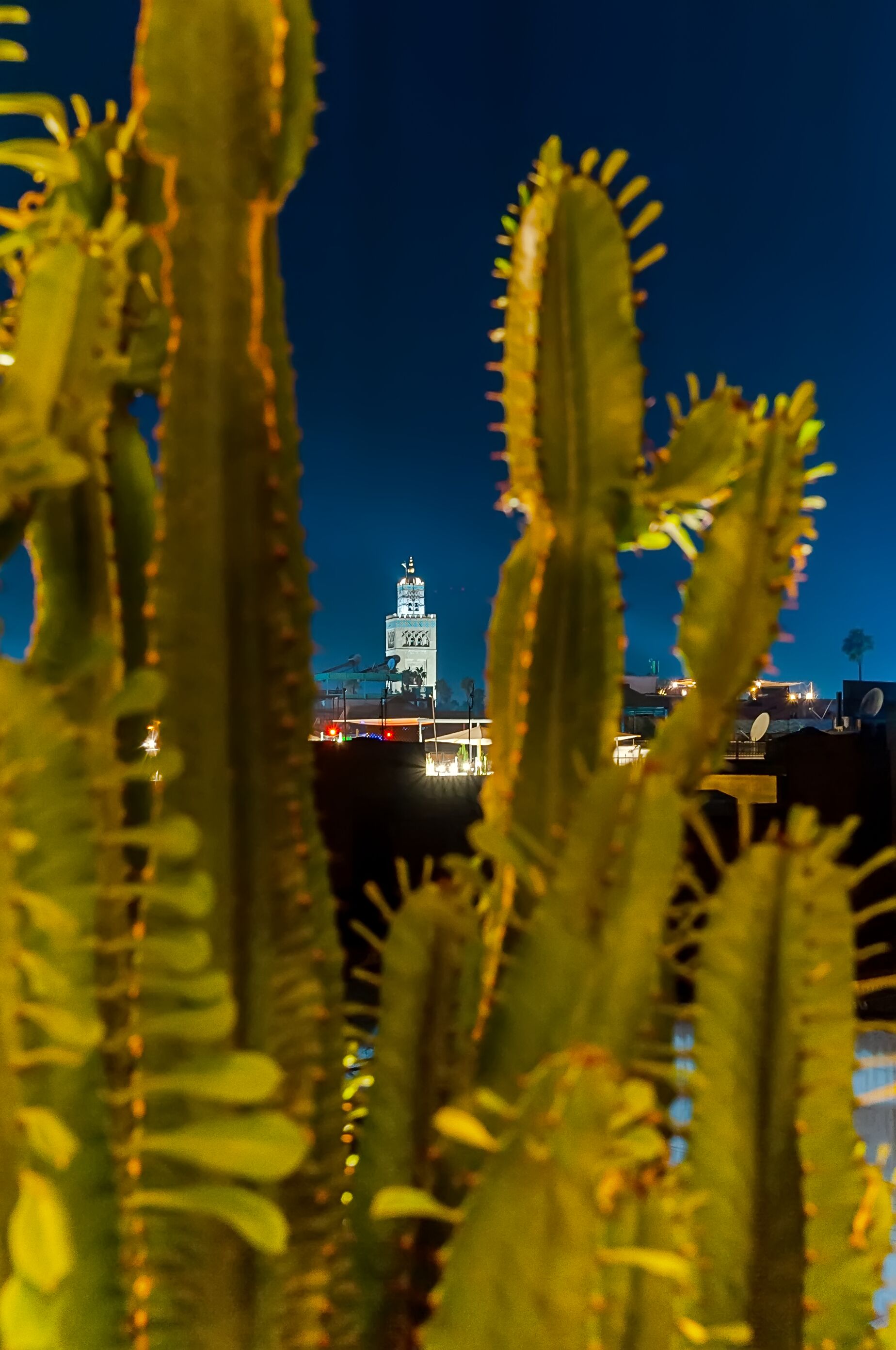 Photo - Riad Dar Bayane