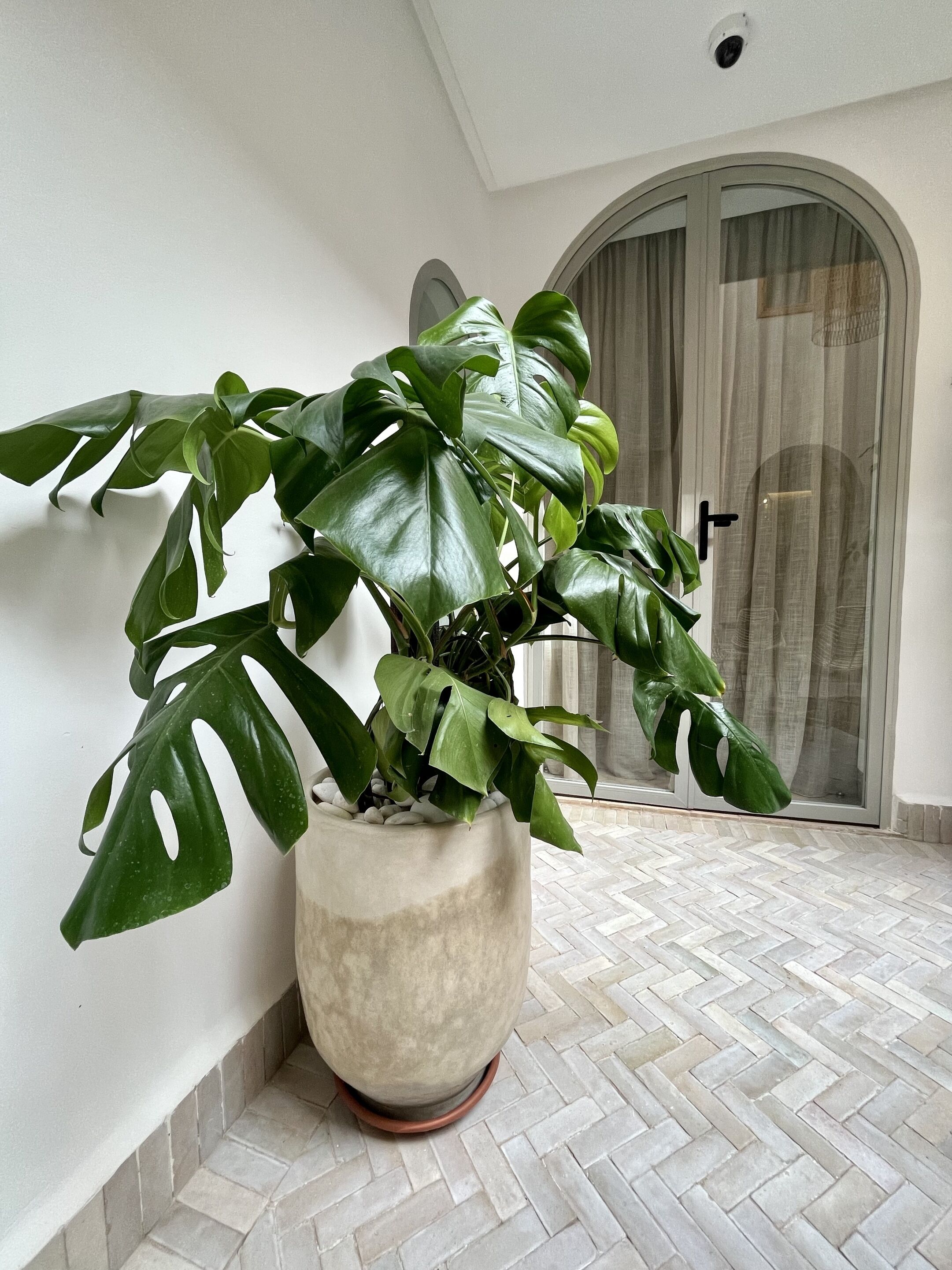 Photo - Riad Dar Bayane