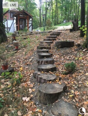 Cabin, 1 Queen Bed | Property grounds