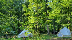 Un camping con dos tiendas de campaña, una mesa de picnic y una parrilla.
