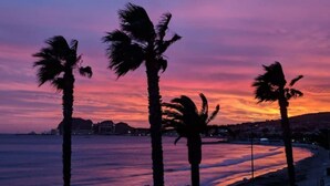 A beach with palm trees silhouetted against a sunset sky. - Gite des écureuils, sea view, private pool, parking, air conditioning (La Ciotat)