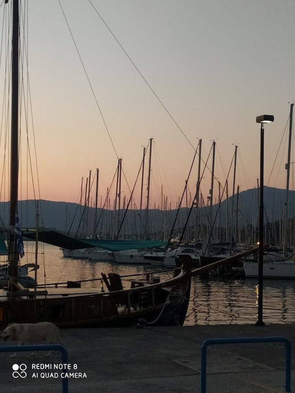 A marina with multiple boats docked, a dog near the water, and a sunset in the background.
