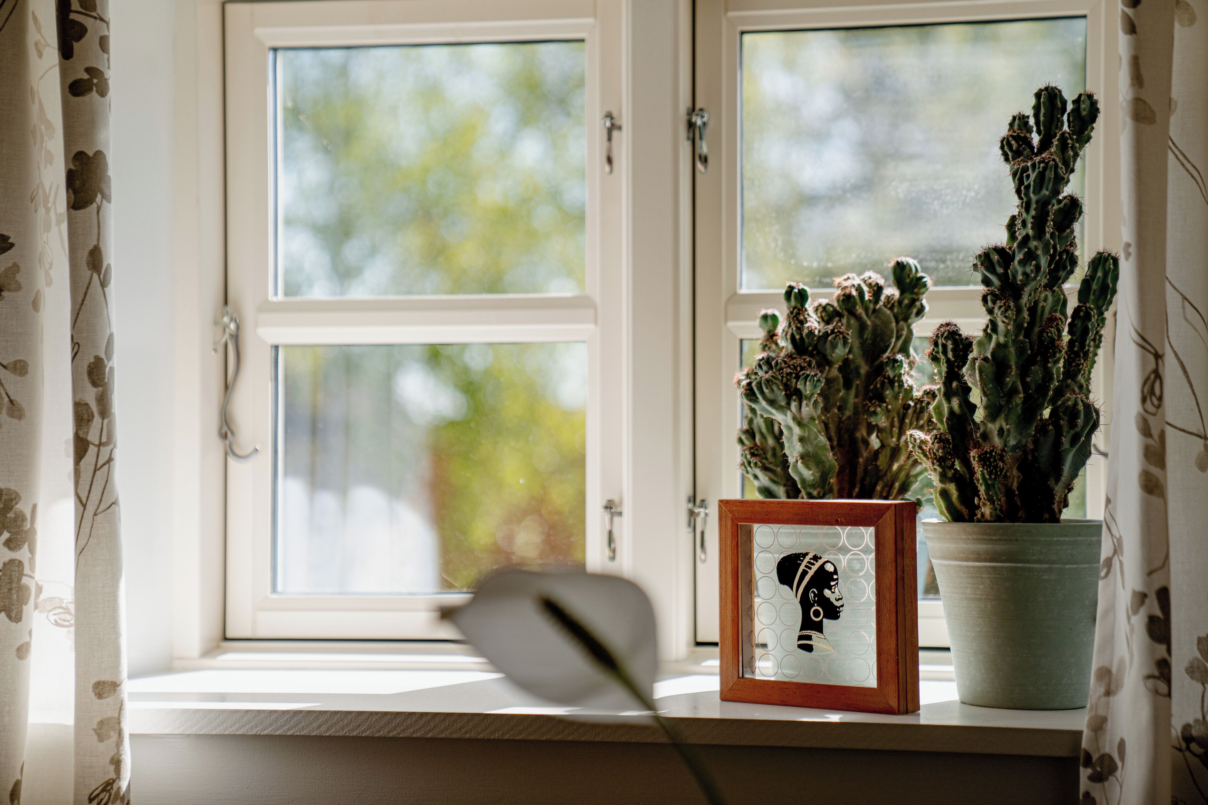 Una ventana con una planta de cactus y un cuadro en el alféizar.
