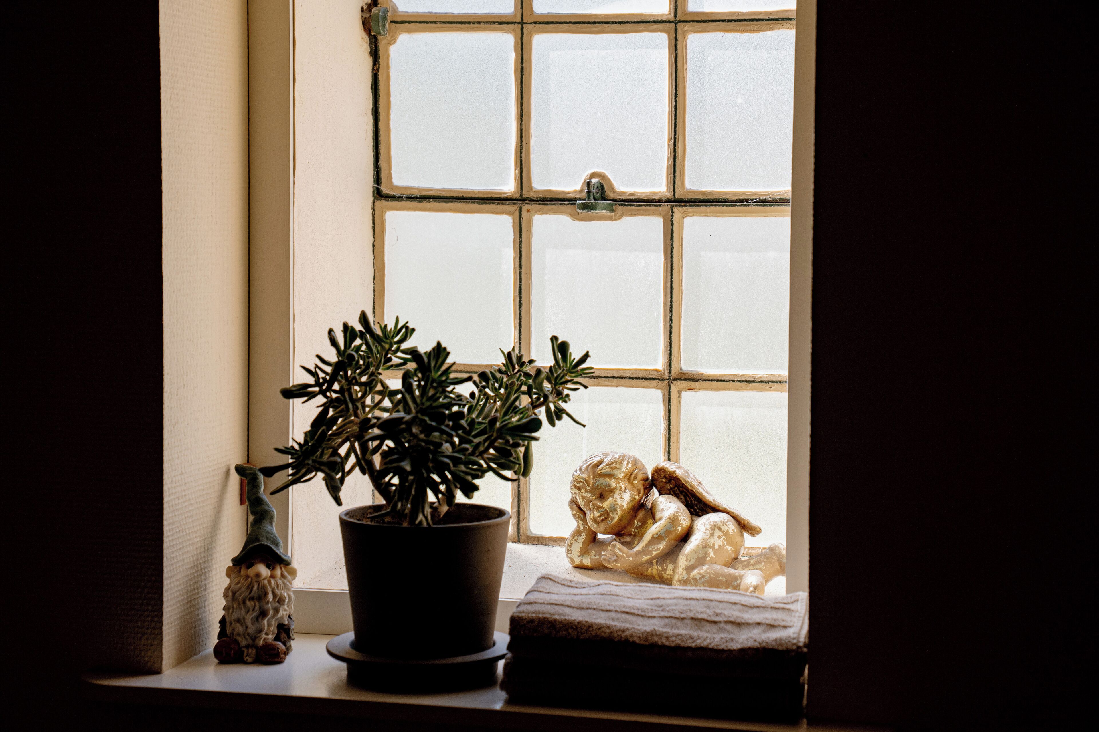 Une fenêtre donnant sur un immeuble, avec une plante en pot et une petite figurine posée sur le rebord de la fenêtre.