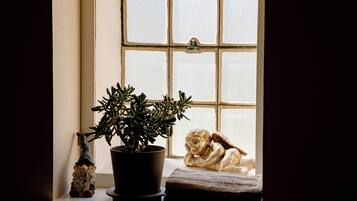 Une fenêtre donnant sur un immeuble, avec une plante en pot et une petite figurine posée sur le rebord de la fenêtre.