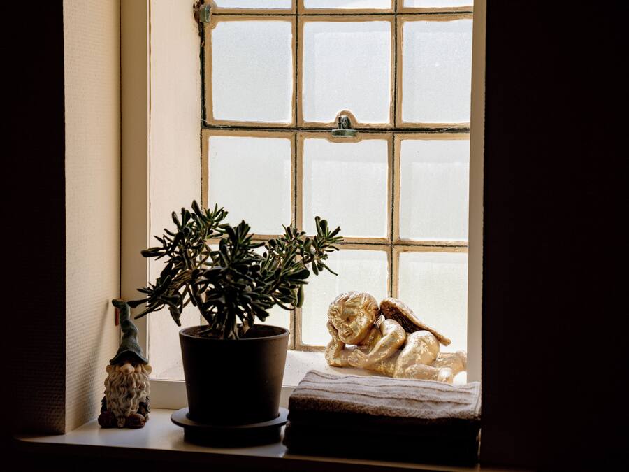 Une fenêtre donnant sur un immeuble, avec une plante en pot et une petite figurine posée sur le rebord de la fenêtre.