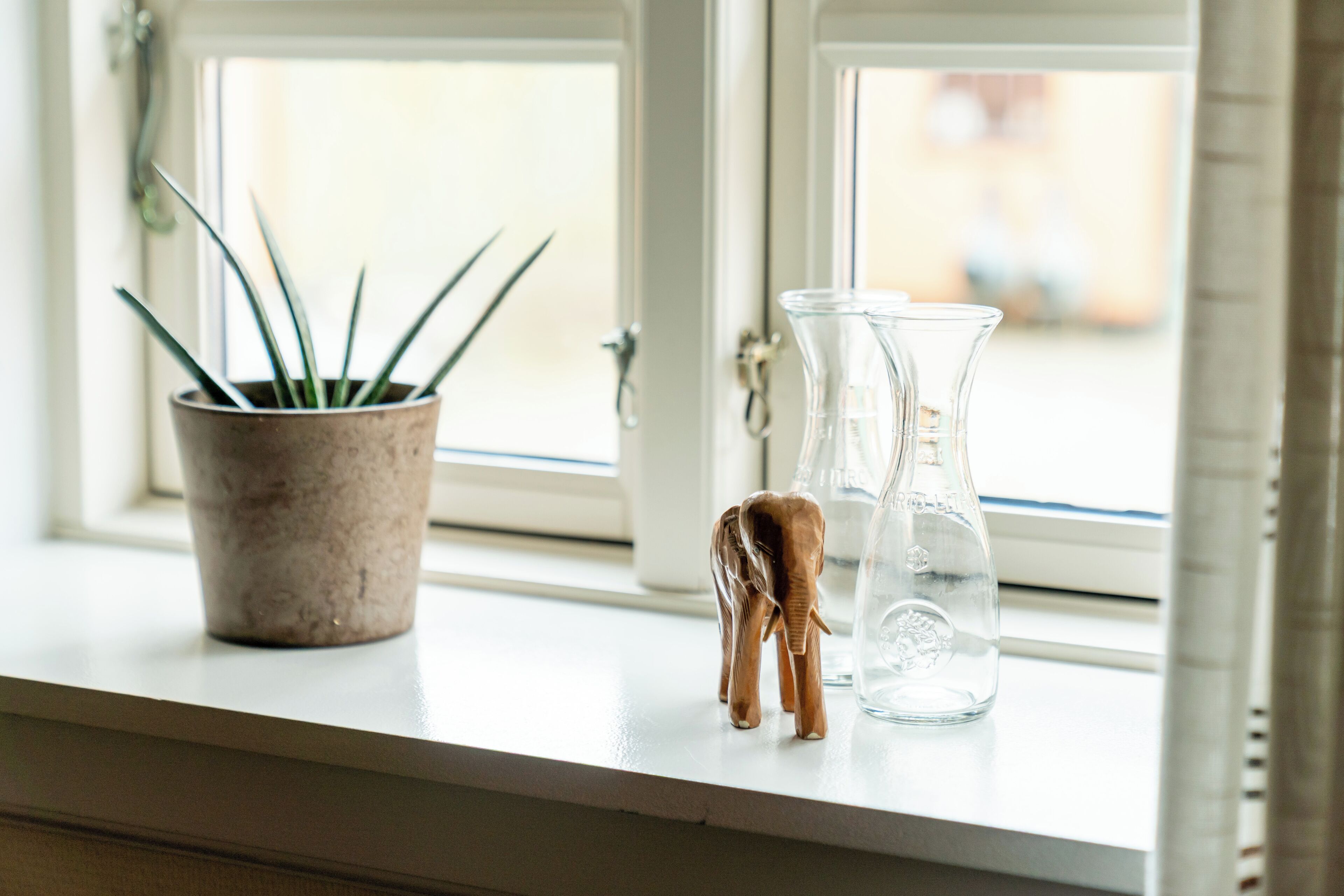 A window sill with a potted plant, a clear glass bottle, and a small wooden elephant figurine.