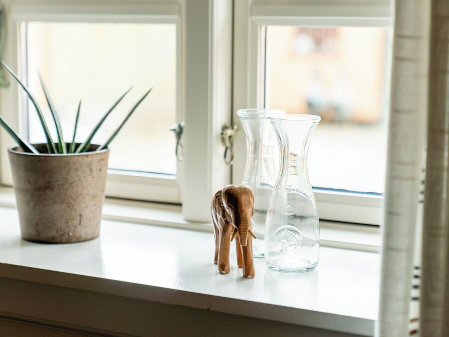 A window sill with a potted plant, a clear glass bottle, and a small wooden elephant figurine.