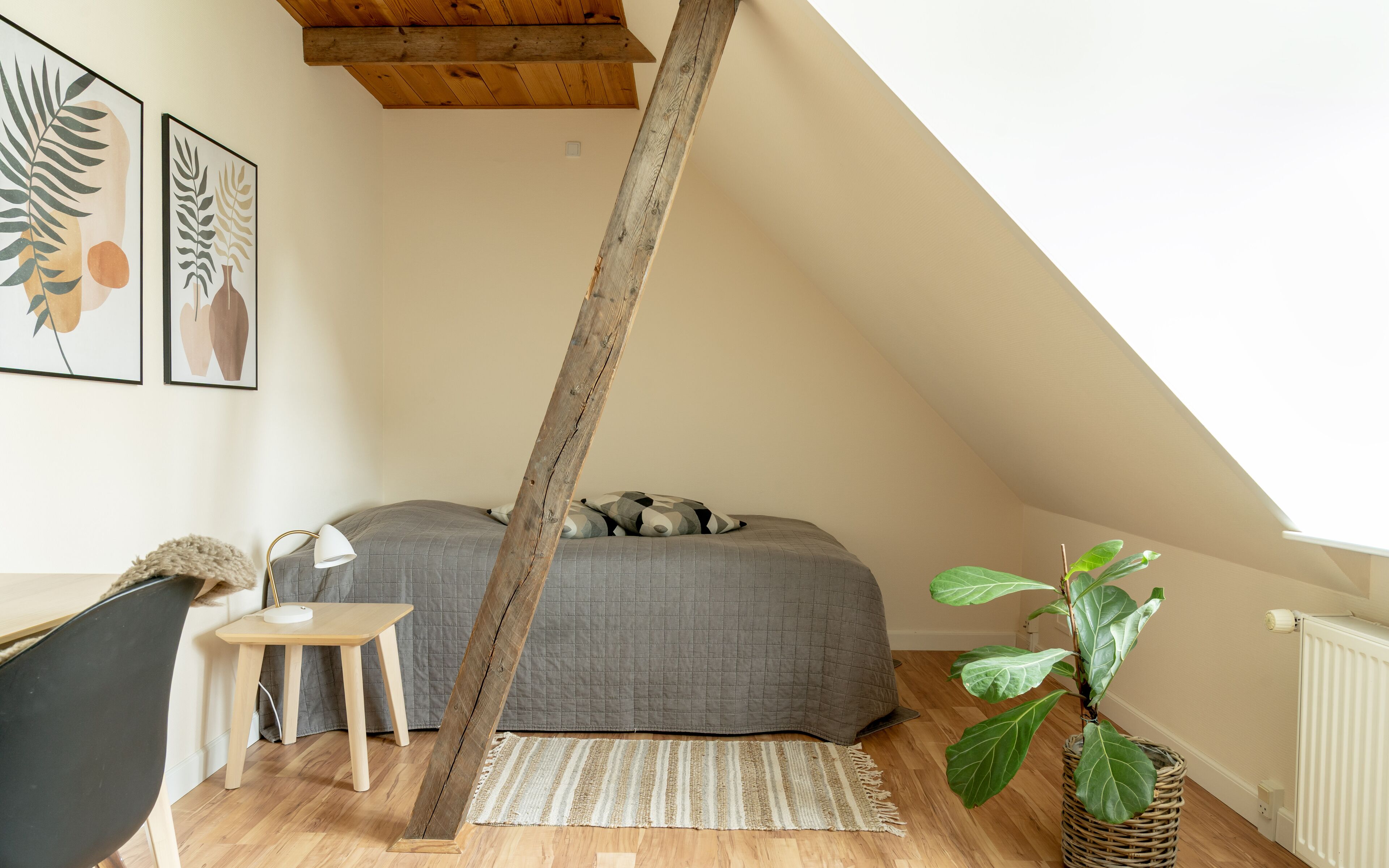 Comfort Single Room, First Floor, Shared Bathroom (Ground Floor)