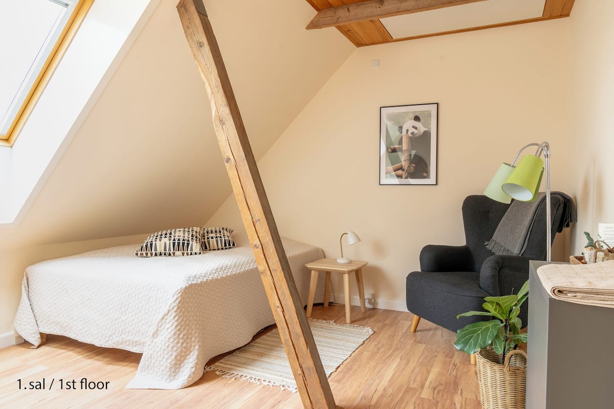 Comfort-Single Room (First Floor) Shared Bathrooms (Ground Floor) | Hypo-allergenic bedding, free WiFi, bed sheets