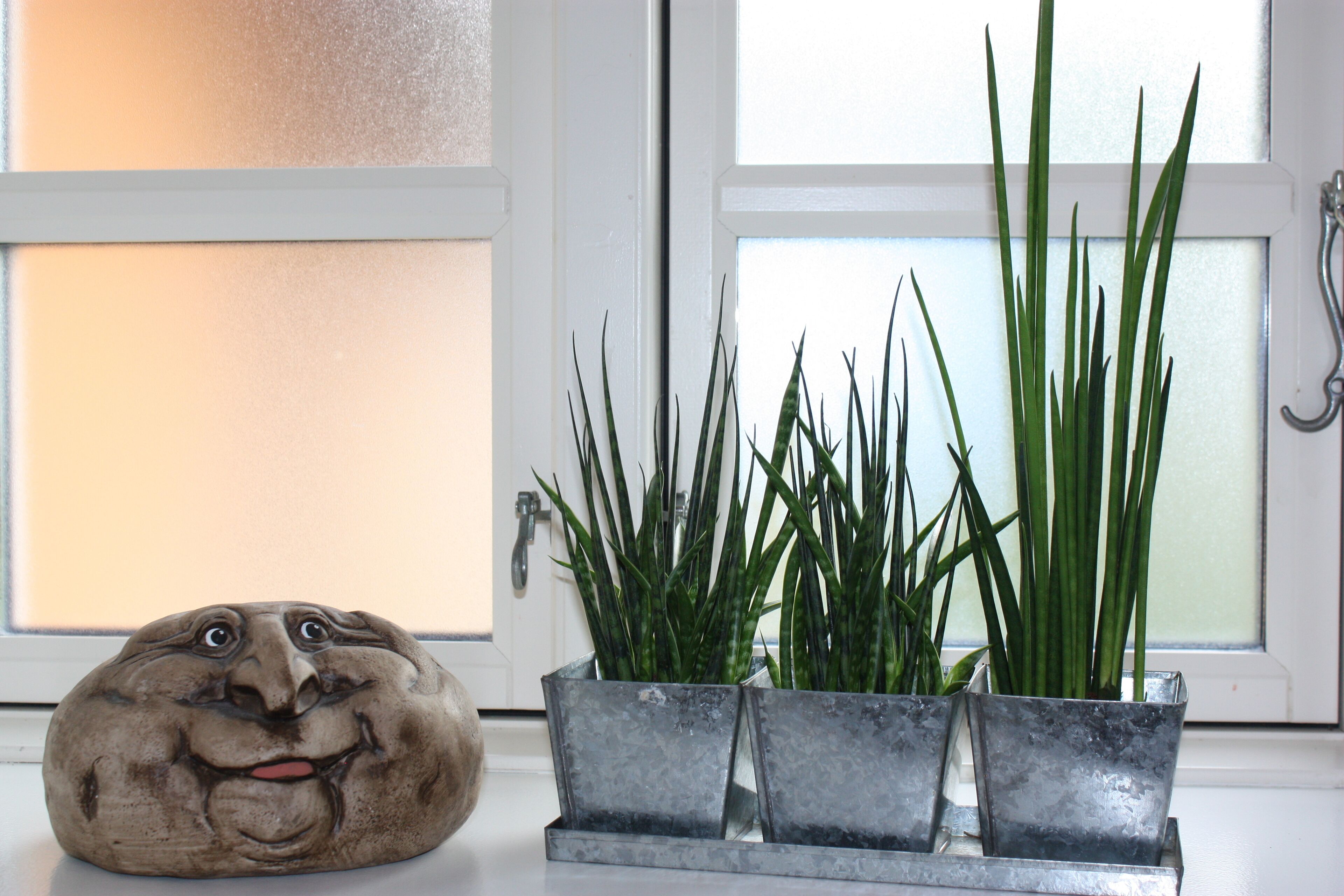 Akaciegaarden Bed & Breakfast