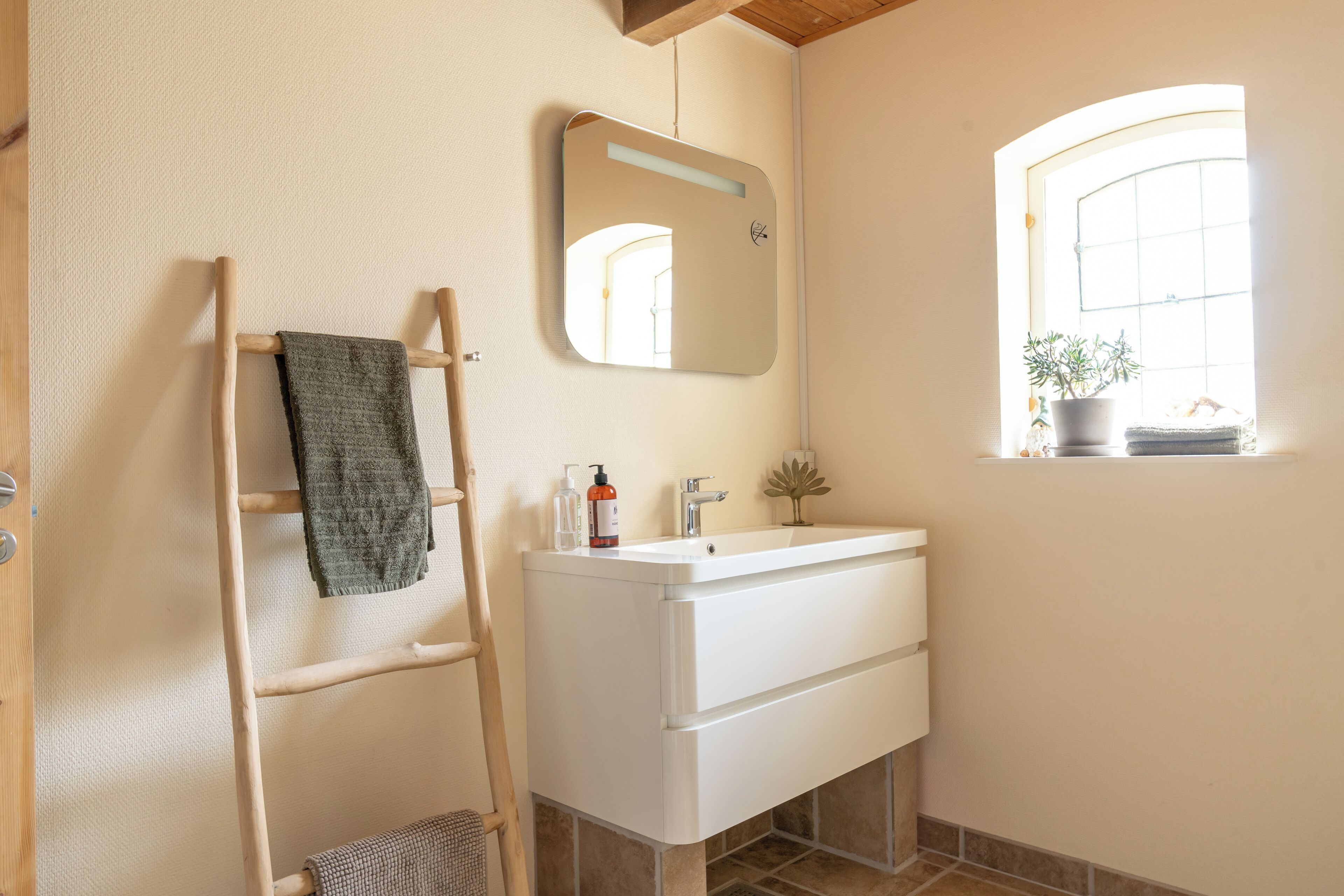 A bathroom with a wooden ladder, a white sink, a mirror, and a window with a plant.